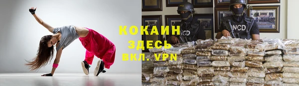 шишки Богданович