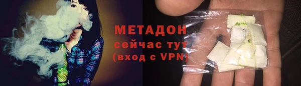 сатива Беломорск