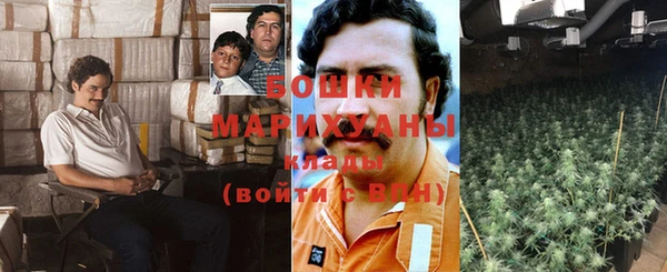 мяу мяу мука Белокуриха