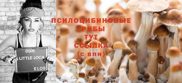 шишки Богданович