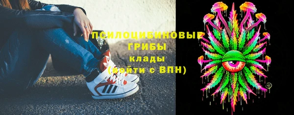 прущая мука Богородск