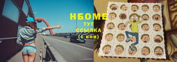 сатива Беломорск