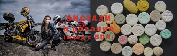 сатива Беломорск