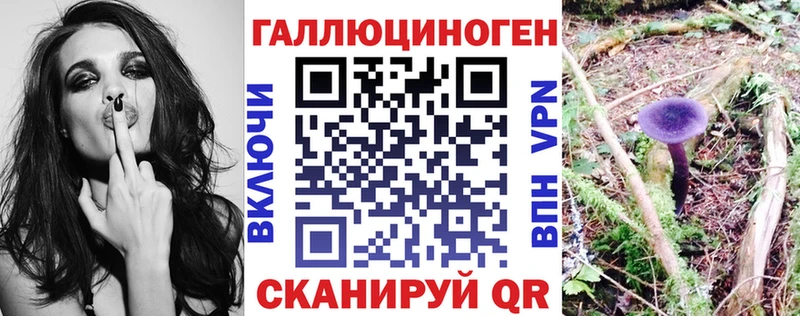Псилоцибиновые грибы Cubensis  хочу наркоту  Губкинский 